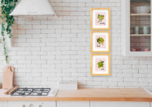 Load image into Gallery viewer, Aromatic Herbs Art Prints (Set of 3)