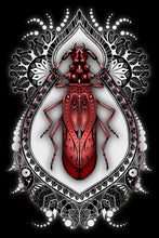 Load image into Gallery viewer, Giclee Canvas 24x36