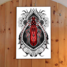 Load image into Gallery viewer, Longi B