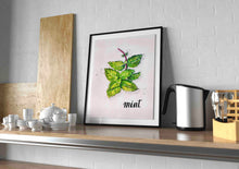 Load image into Gallery viewer, Aromatic Herbs Art Prints (Set of 3)